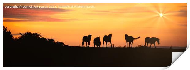 Horses at sunset in Bury lancs Print by Derrick Fox Lomax