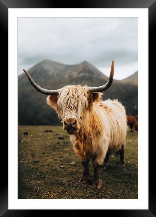 Highland Cow on the Isle of Skye Framed Mounted Print by Jay Huxtable