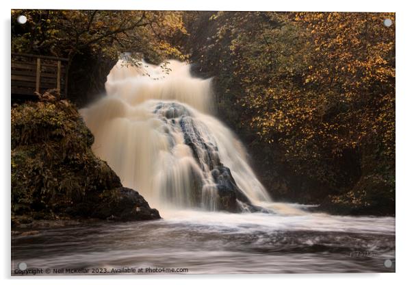 Spectacle E'e Falls in Autumn Acrylic by Neil McKellar