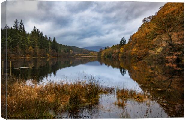 Reflective Loch Ard in Autumn 1 Canvas Print by Neil McKellar