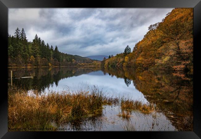 Reflective Loch Ard in Autumn 1 Framed Print by Neil McKellar