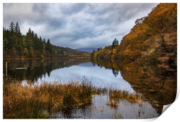 Reflective Loch Ard in Autumn 1 Print by Neil McKellar