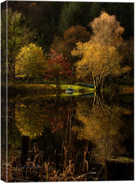 Reflections on Loch Ard 2 Canvas Print by Neil McKellar