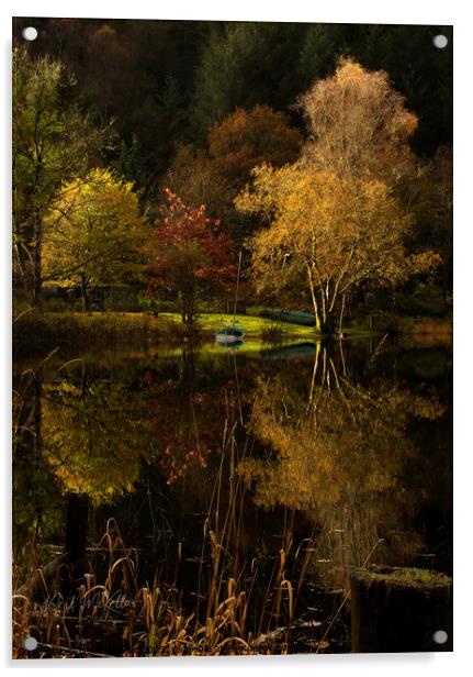 Reflections on Loch Ard 2 Acrylic by Neil McKellar