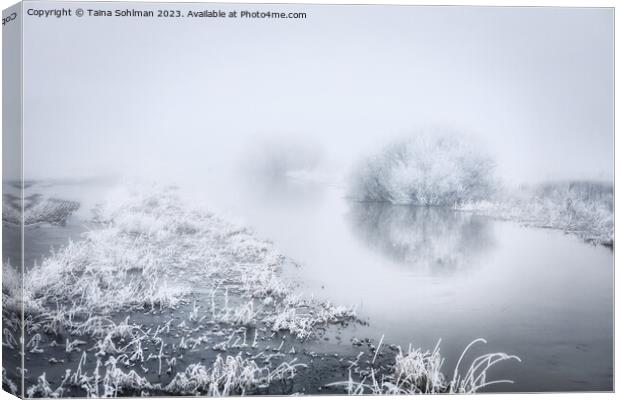 Flooded River in Winter Fog Monochrome Canvas Print by Taina Sohlman