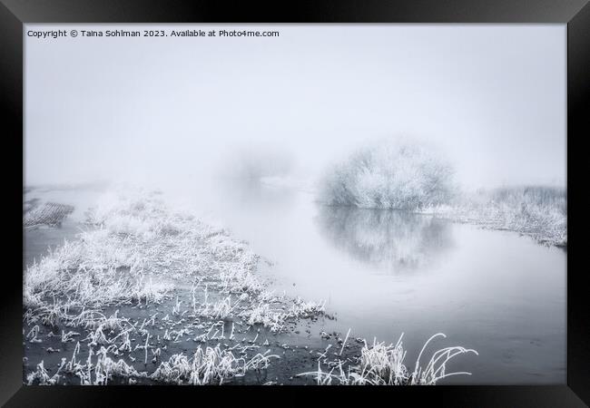 Flooded River in Winter Fog Monochrome Framed Print by Taina Sohlman