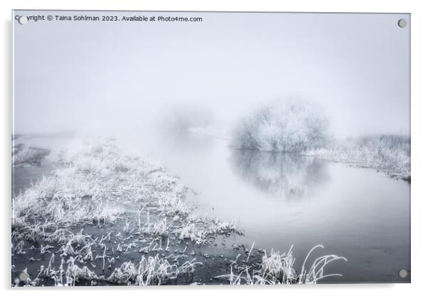 Flooded River in Winter Fog Monochrome Acrylic by Taina Sohlman