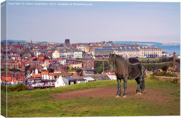Whitby Canvas Print by Alison Chambers