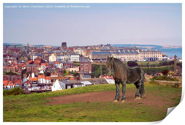 Whitby Print by Alison Chambers