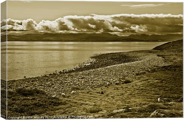 West of Ireland Famine Field Canvas Print by Jane McIlroy