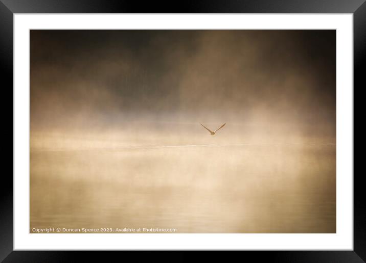 A duck in the Mist Framed Mounted Print by Duncan Spence
