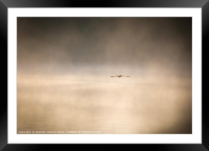 Misty morning Framed Mounted Print by Duncan Spence
