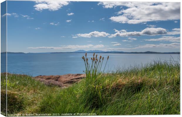 wemyss Bay Shore Rushes Canvas Print by RJW Images