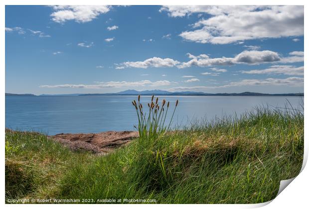 wemyss Bay Shore Rushes Print by RJW Images