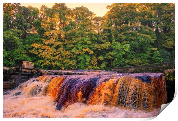 Majestic Richmond Falls Print by Tim Hill