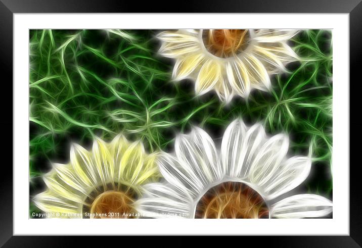 Three Daisies Framed Mounted Print by Kathleen Stephens