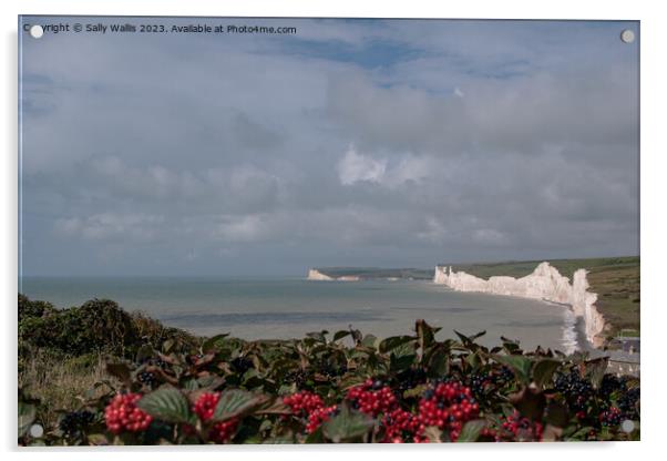 Seven Sisters, Sussex through a curtain of viburnum Acrylic by Sally Wallis