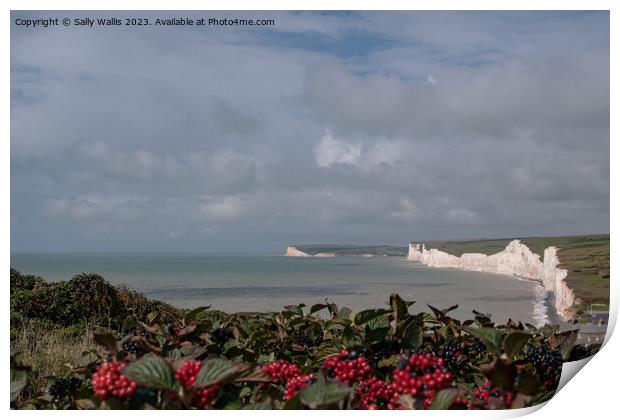 Seven Sisters, Sussex through a curtain of viburnum Print by Sally Wallis