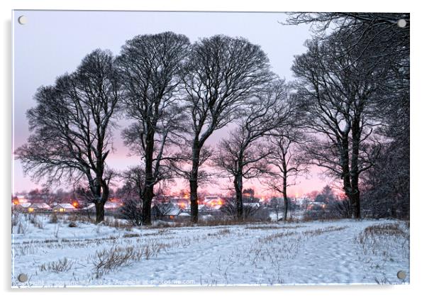 Winter sunset  Acrylic by Corinne Mills