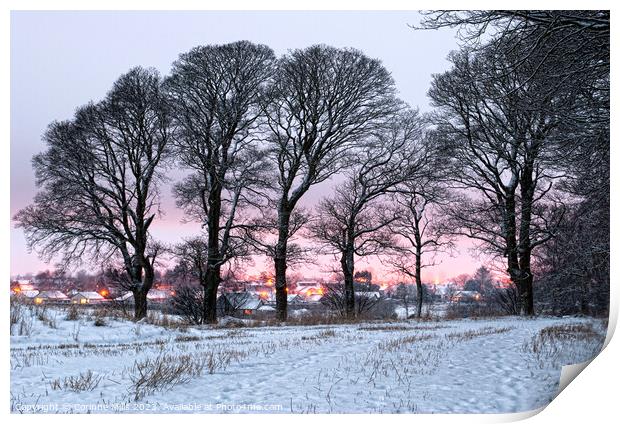 Winter sunset  Print by Corinne Mills