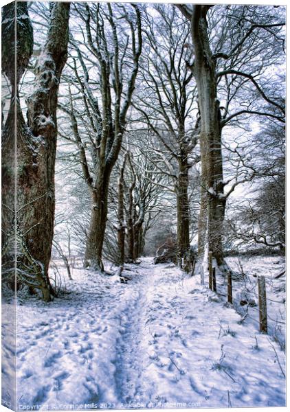 Snowy woodland path Canvas Print by Corinne Mills