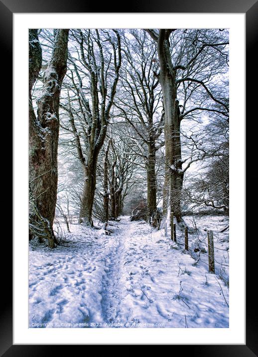 Snowy woodland path Framed Mounted Print by Corinne Mills