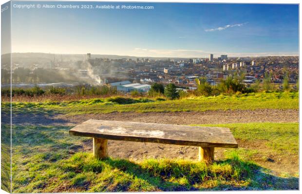 A View Of Sheffield  Canvas Print by Alison Chambers