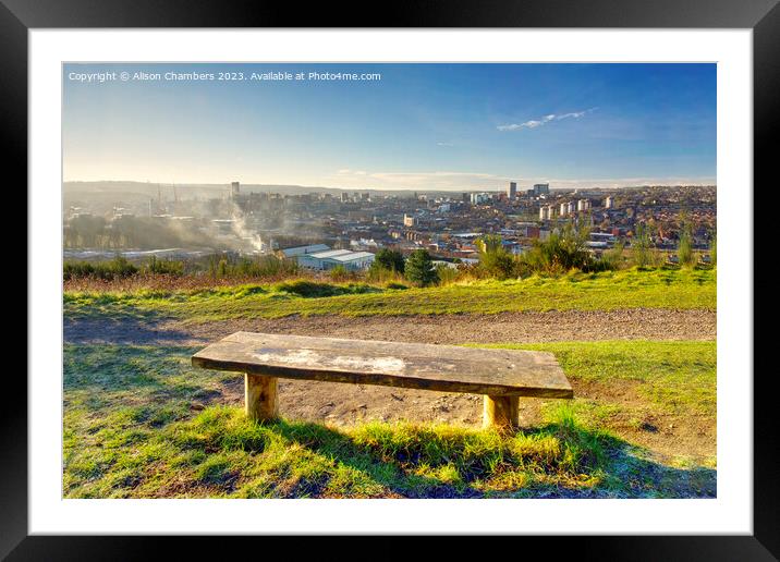 A View Of Sheffield  Framed Mounted Print by Alison Chambers