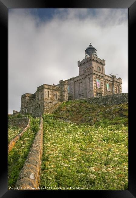 Stevenson Lighthouse - Isle of May Framed Print by Corinne Mills