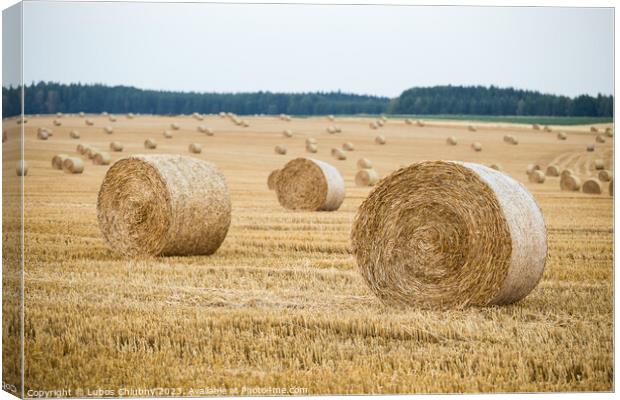 Hay bales on the field after harvest Canvas Print by Lubos Chlubny
