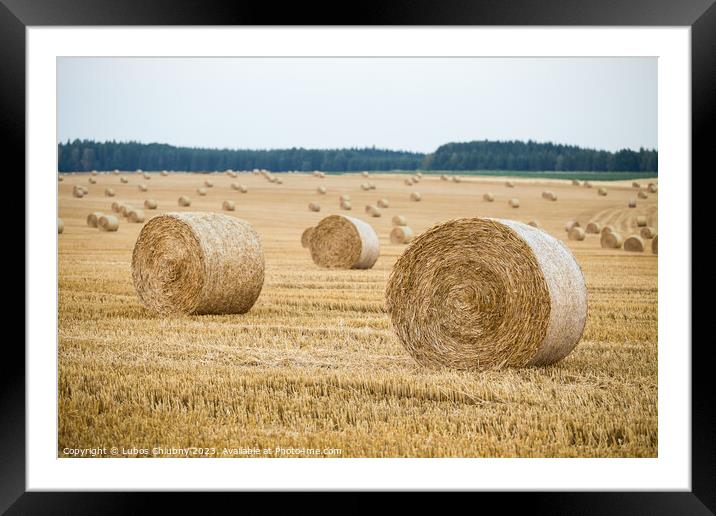Hay bales on the field after harvest Framed Mounted Print by Lubos Chlubny