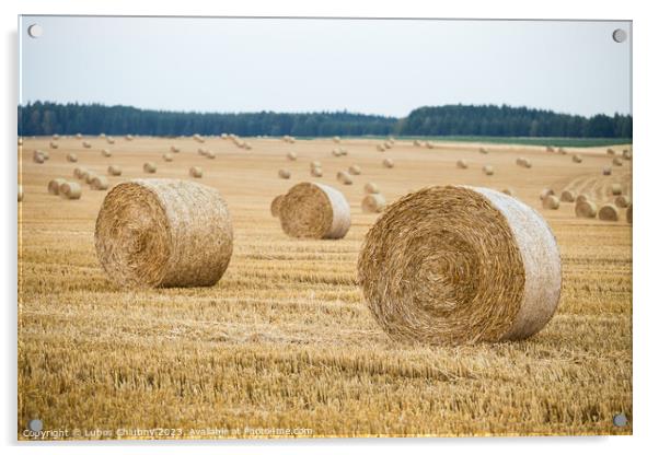 Hay bales on the field after harvest Acrylic by Lubos Chlubny