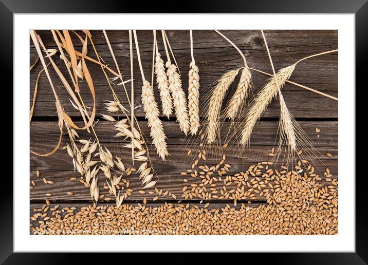 Ears of wheat on old wooden table Framed Mounted Print by Lubos Chlubny