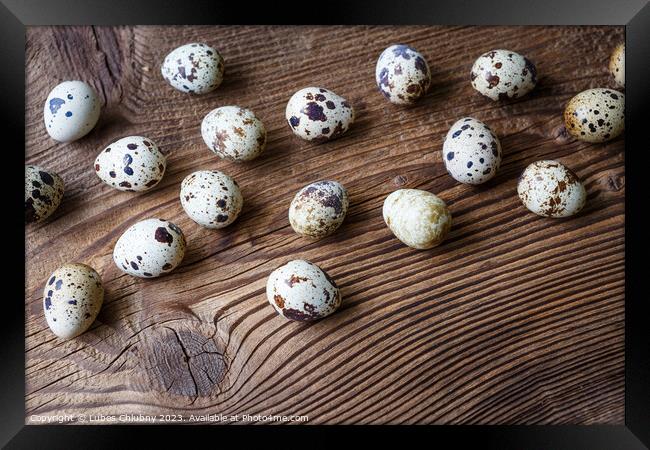 Quail eggs on a wooden board Framed Print by Lubos Chlubny
