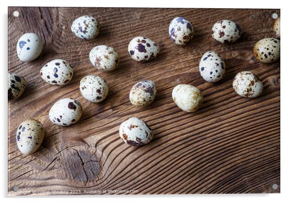 Quail eggs on a wooden board Acrylic by Lubos Chlubny