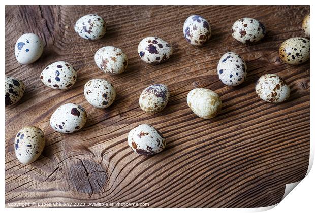 Quail eggs on a wooden board Print by Lubos Chlubny