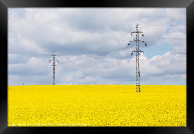 High voltage power lines above rapeseed field (Brassica napus). Plant for vegetable oil, green energy and biodiesel. Framed Print by Lubos Chlubny