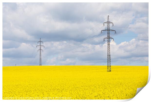 High voltage power lines above rapeseed field (Brassica napus). Plant for vegetable oil, green energy and biodiesel. Print by Lubos Chlubny