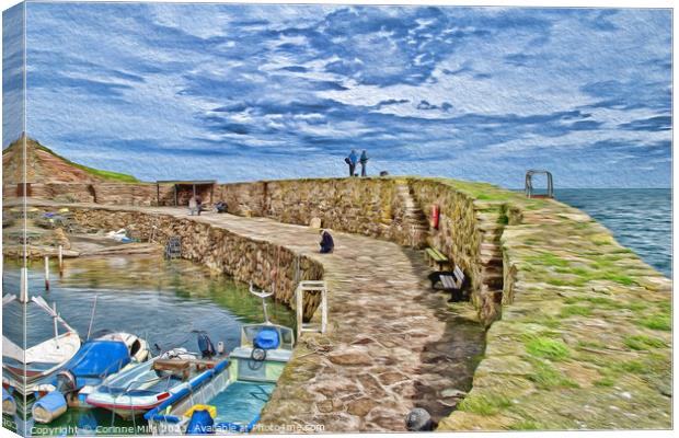 Crail Harbour - oil paint effect Canvas Print by Corinne Mills