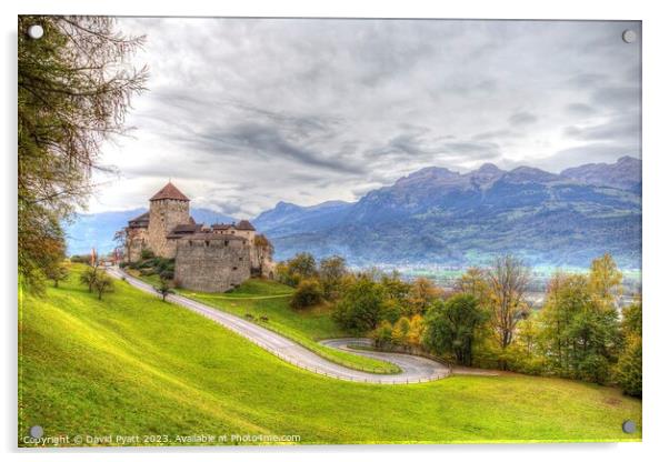 Vaduz Liechtenstein Castle Acrylic by David Pyatt