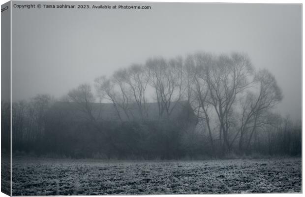 Mystic Barn and Trees in Winter Fog Canvas Print by Taina Sohlman