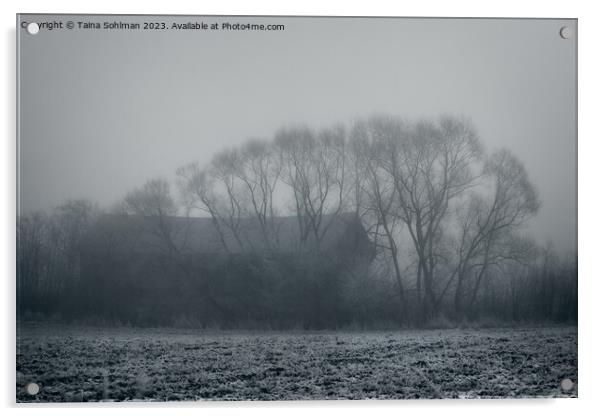 Mystic Barn and Trees in Winter Fog Acrylic by Taina Sohlman