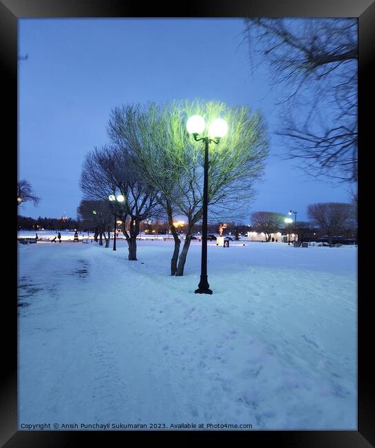 Winter night in the city. Trees in the snow and lanterns. Framed Print by Anish Punchayil Sukumaran