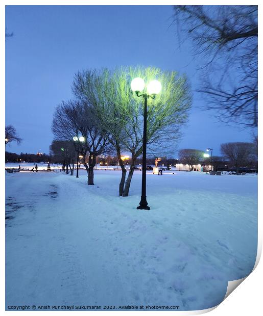 Winter night in the city. Trees in the snow and lanterns. Print by Anish Punchayil Sukumaran