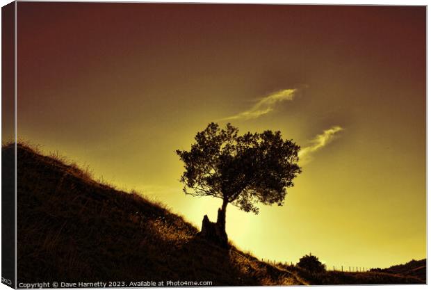 Mountain Tree Silhouette. Canvas Print by Dave Harnetty