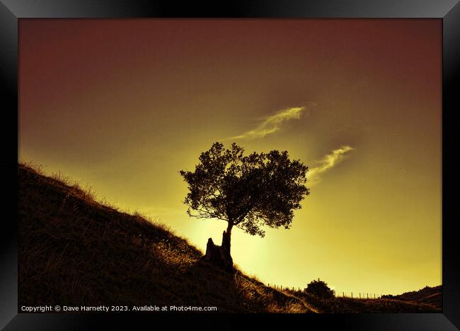 Mountain Tree Silhouette. Framed Print by Dave Harnetty