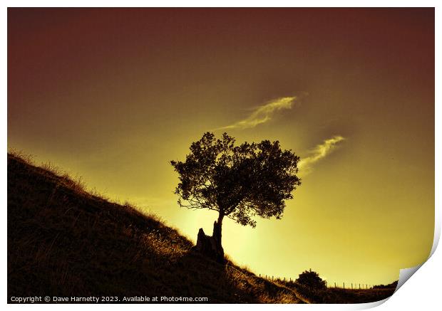Mountain Tree Silhouette. Print by Dave Harnetty