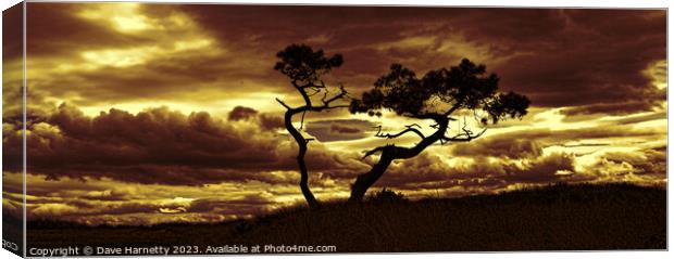 Tree Dance 3 Canvas Print by Dave Harnetty