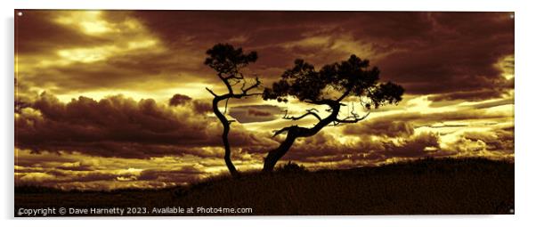 Tree Dance 3 Acrylic by Dave Harnetty