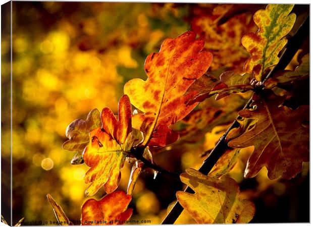 autumn leaves Canvas Print by Jo Beerens